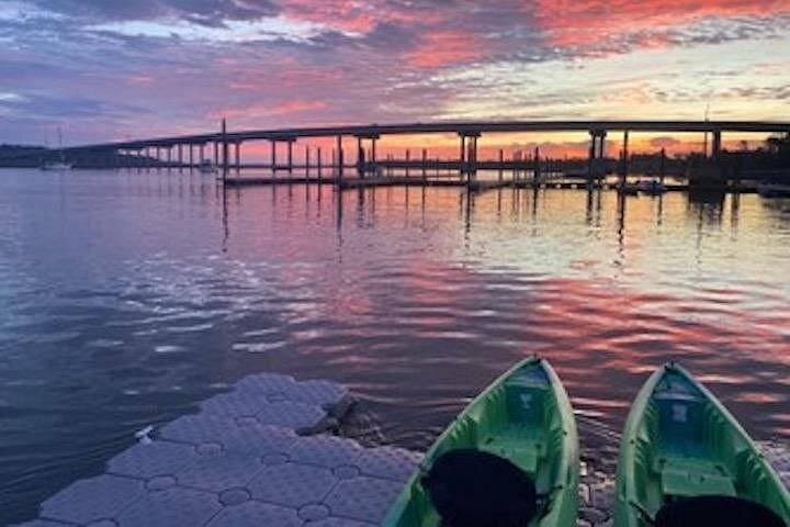 Hilton Head Morning Kayak Eco Tour — Broad Creek Wildlife & Dolphin Paddle photo 2