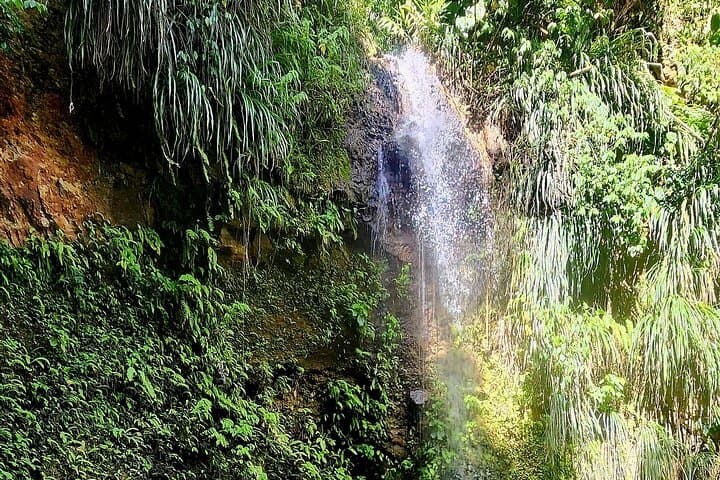 Private La Soufriere Drive-In Volcano Tour: Sulphur Springs, Pitons & Waterfalls (St. Lucia) photo 5