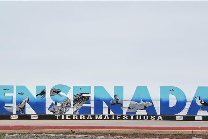 Thrill and Wonder: Ensenada Zipline Adventure Meets The Majestic Bufadora Blowhole photo 6