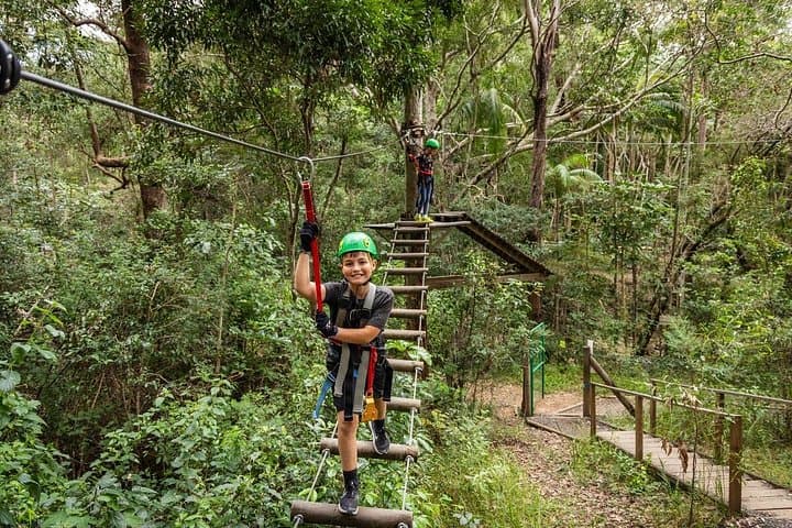 Tamborine Mountain TreeTop Challenge: Australia's Biggest Rainforest Zipline & High-Ropes Park photo 3