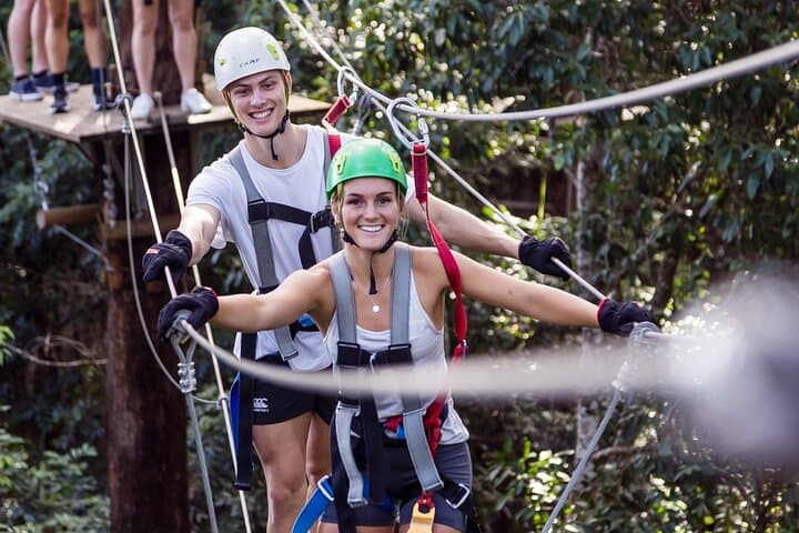 Sunshine Coast TreeTop Challenge at The Big Pineapple: Australia's Highest Ziplines photo 3