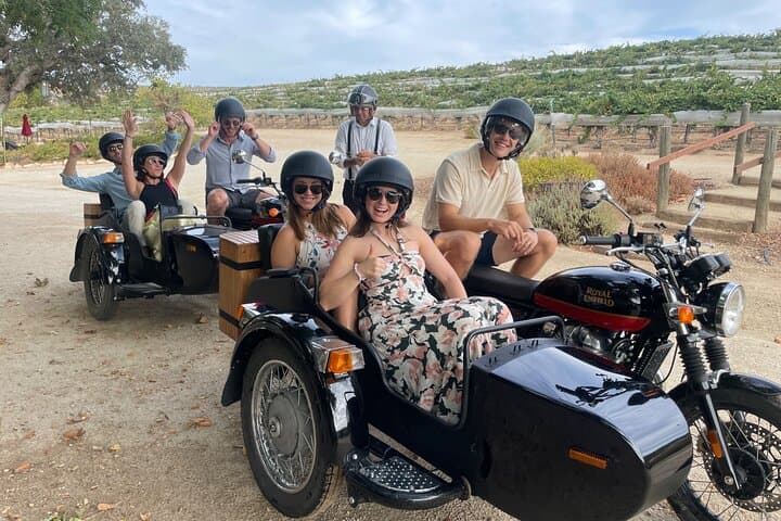 Sidecar Vineyard Rides in Paso Robles — One-Hour Wine Country Adventure photo 2