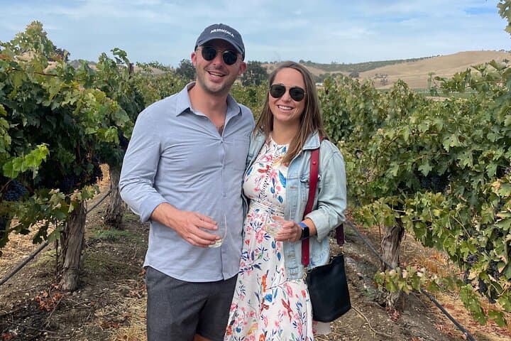 Sidecar Vineyard Rides in Paso Robles — One-Hour Wine Country Adventure photo 5