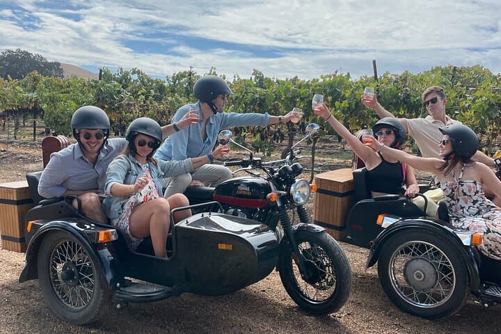 Sidecar Vineyard Rides in Paso Robles — One-Hour Wine Country Adventure