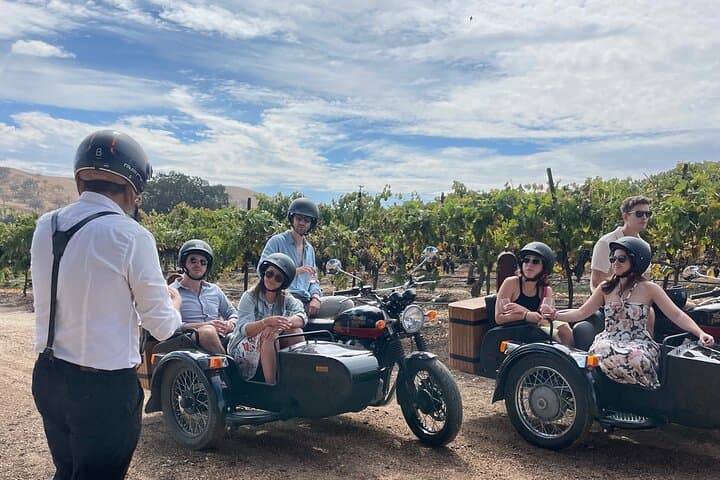 Sidecar Vineyard Rides in Paso Robles — One-Hour Wine Country Adventure photo 3