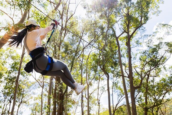 Canyon Flyer Zipline on Tamborine Mountain: Australia’s Highest & Fastest photo 6
