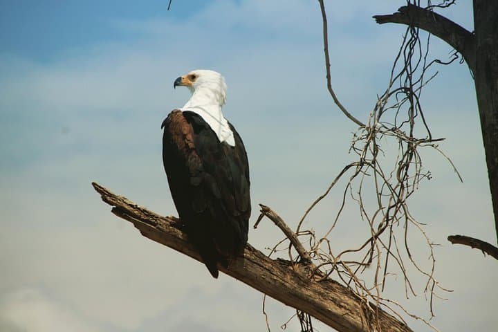 3-Day Arba Minch Tour: Dorze, Konso & Lake Chamo Wildlife photo 5
