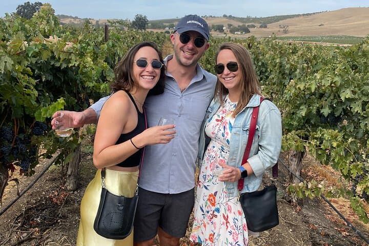 Sidecar Vineyard Tour Paso Robles: One-Hour Scenic Wine Country Ride photo 6