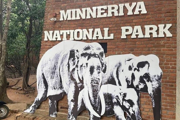 Minneriya Safari Adventure: Witness Sri Lanka’s Great Elephant Gathering photo 1