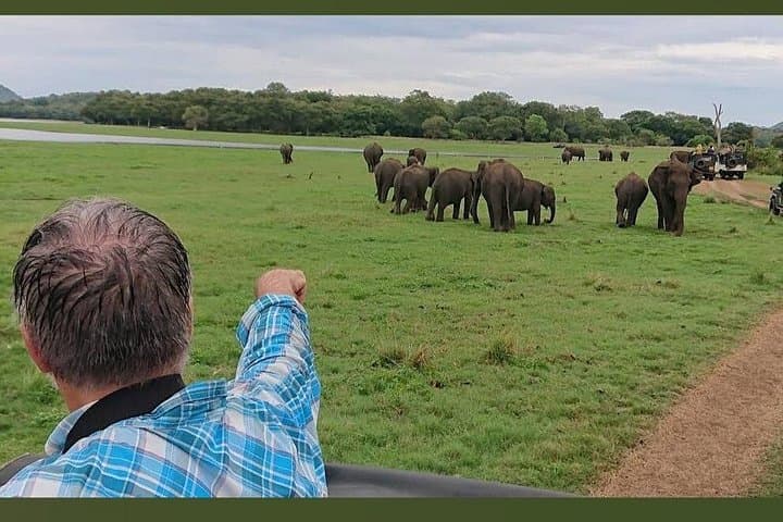 Minneriya Safari Adventure: Witness Sri Lanka’s Great Elephant Gathering photo 4