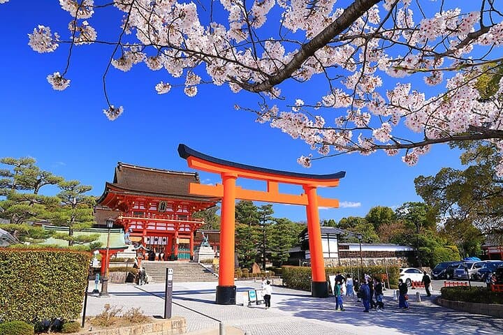 Fushimi Cherry Blossoms & Sake Brewery Tour — Kyoto Spring Day Trip photo 2