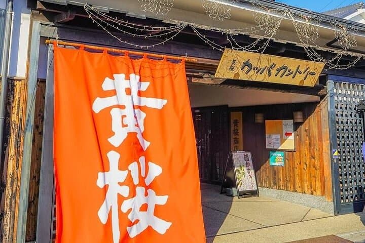 Fushimi Cherry Blossoms & Sake Brewery Tour — Kyoto Spring Day Trip photo 3