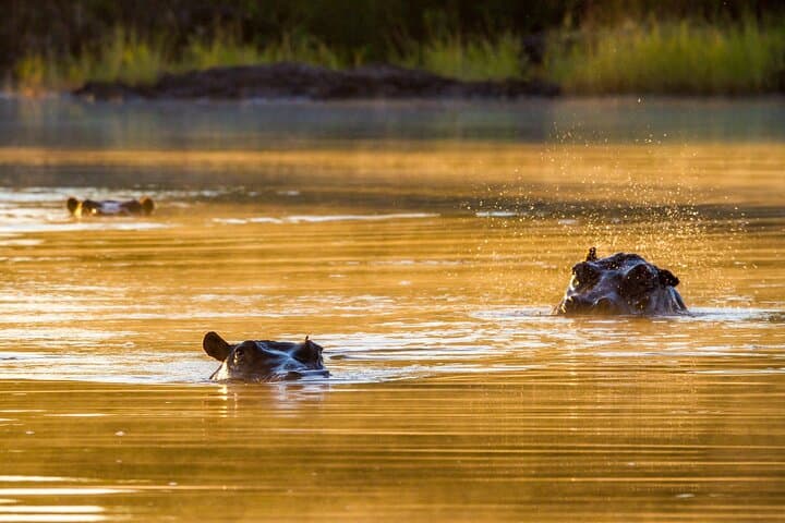Victoria Falls to Chobe: 4-Day All-Inclusive Safari, Devil's Pool & Helicopter photo 2