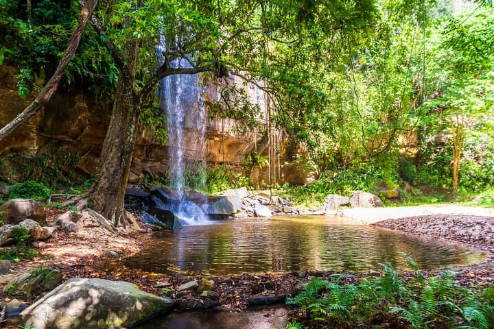 Shimba Hills Safari and Sheldrick Falls Hike: Day Trip from Mombasa & Diani