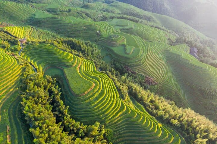 Longji (Dragon's Backbone) Rice Terraces: 1-Day Private Tour from Guilin photo 5