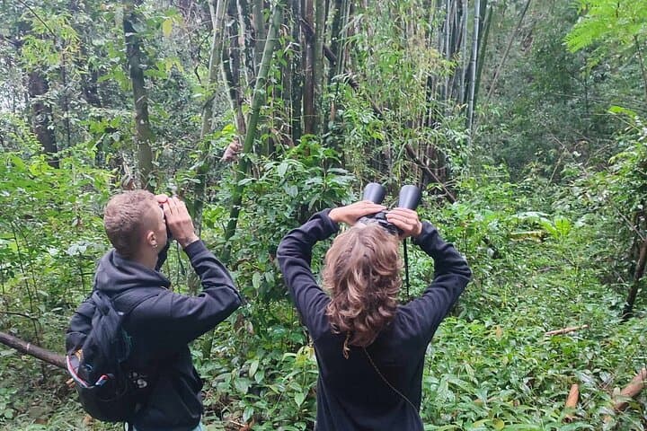 2-Day Gibbon Conservation & Karen Village Homestay near Doi Inthanon photo 5