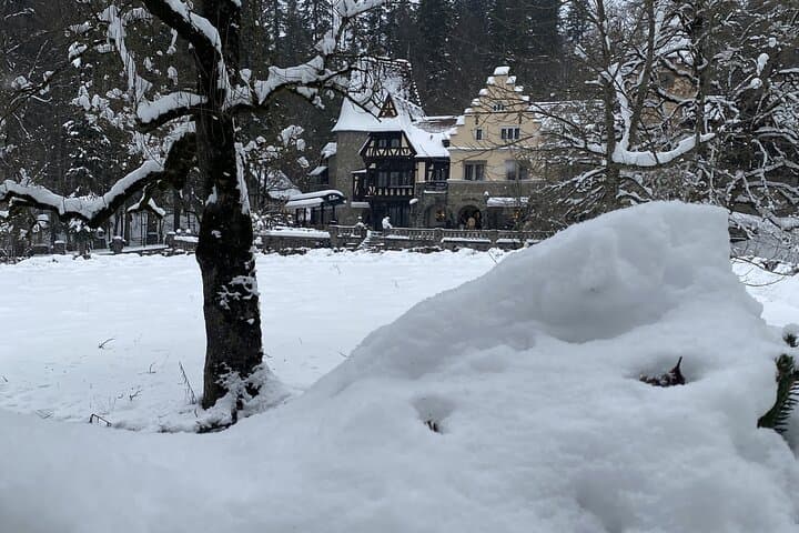 Snowmobile and ATV Private Day Trip from Bucharest to Sinaia & Azuga photo 6