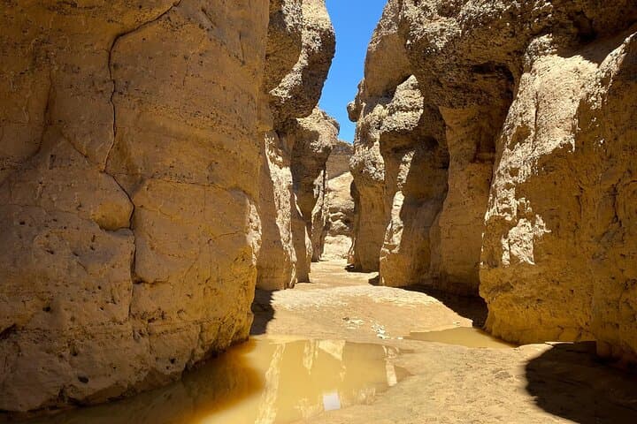 Desert to Coast: 5-Day Sossusvlei and Swakopmund Adventure photo 3