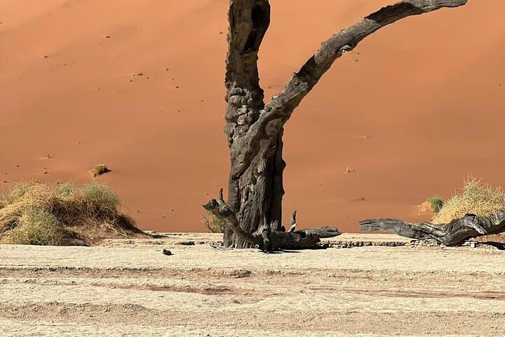 Desert to Coast: 5-Day Sossusvlei and Swakopmund Adventure photo 4