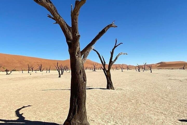 Desert to Coast: 5-Day Sossusvlei and Swakopmund Adventure photo 6