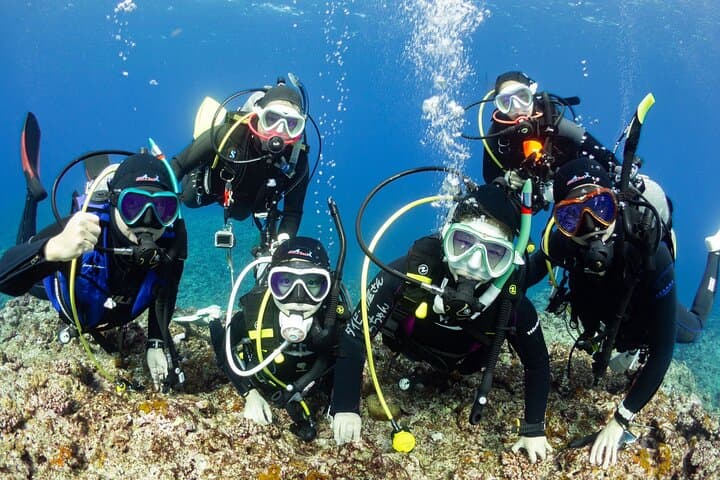 Kansai Trial Diving from Osaka — Safe Intro Scuba for Beginners