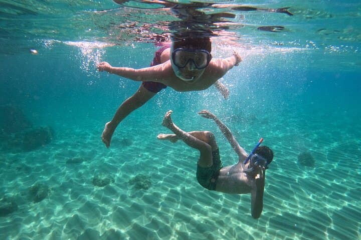 Snorkeling Cala Gonone: Explore Posidonia Meadows in the Gulf of Orosei photo 5