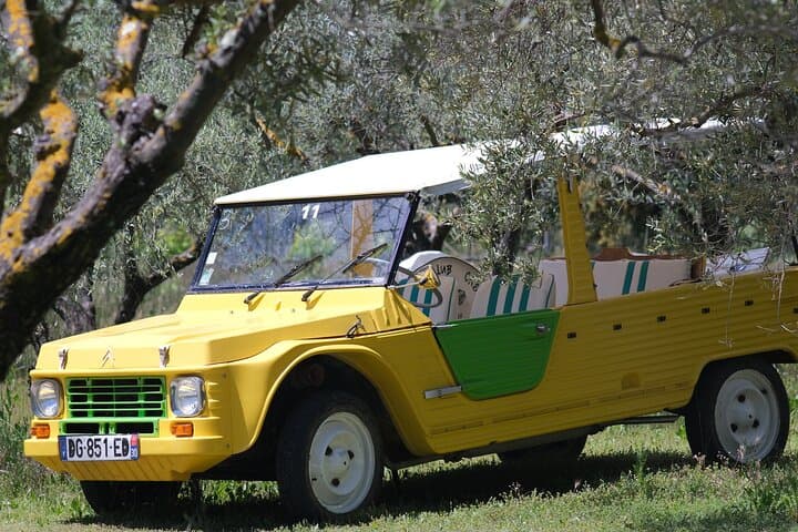 Self-Drive Vintage Car Tour Through Provence to Pont du Gard photo 6