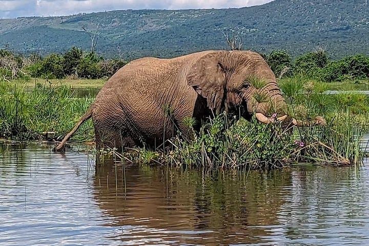 Akagera National Park Guided Day Pass: Full-Day Safari from Kigali photo 3