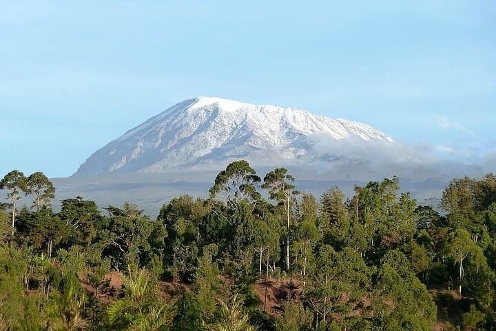 Mount Meru 4-Day Climb: Acclimatize Before Kilimanjaro in Arusha National Park photo 4