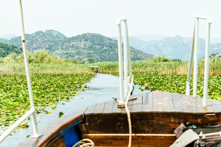Skadar Lake Boat Tour from Virpazar — Karuč, Lesendro & Birdlife photo 2