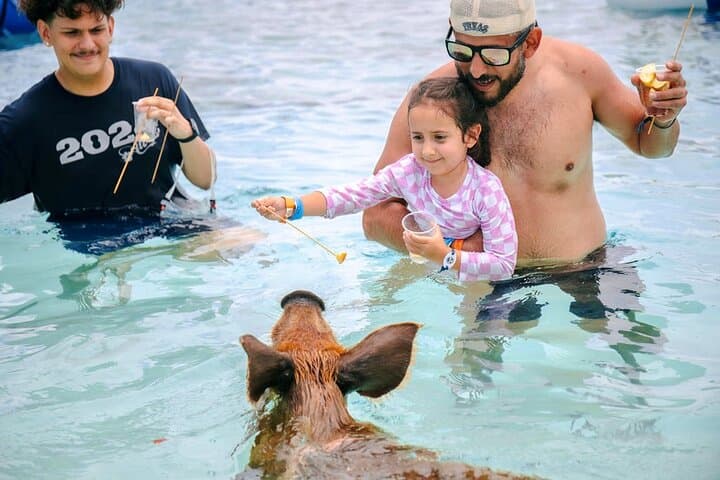 Rose Island Swimming Pigs and Beach Bliss: Nassau Boat Trip with Snorkeling photo 2