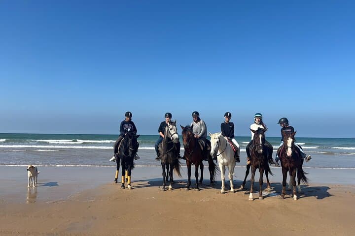 Essaouira Dunes to Shore: 1-Hour Horseback Ride from Diabat photo 1