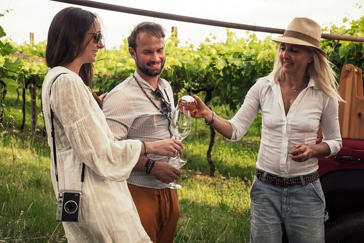 Lake Garda 4x4 Vineyard Tour and DOC Wine Tasting — Castelnuovo del Garda photo 3