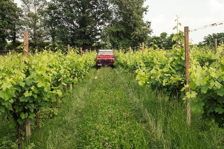 Lake Garda 4x4 Vineyard Tour and DOC Wine Tasting — Castelnuovo del Garda photo 5