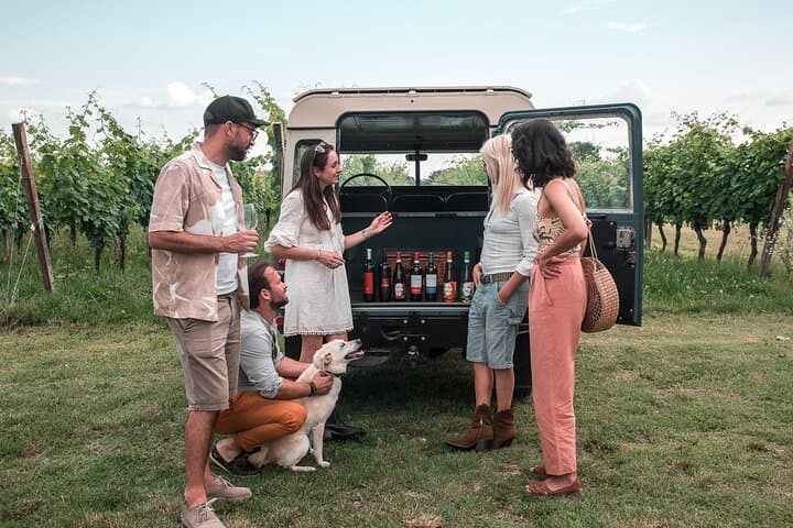 Lake Garda 4x4 Vineyard Tour and DOC Wine Tasting — Castelnuovo del Garda