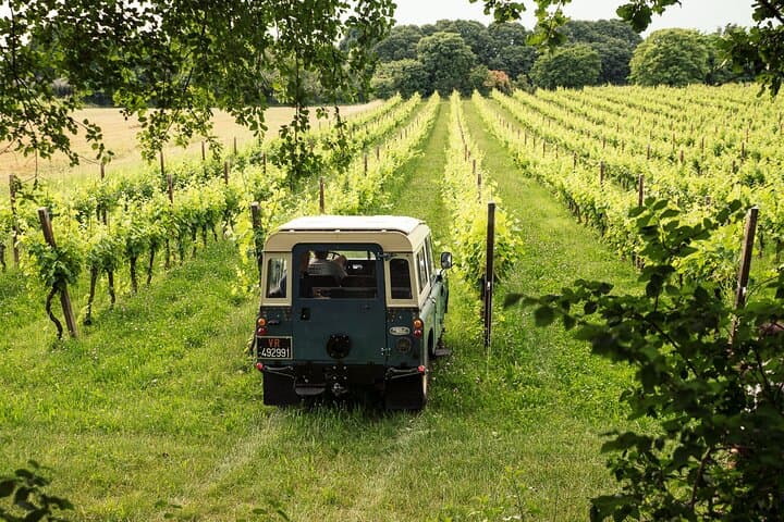Lake Garda 4x4 Vineyard Tour and DOC Wine Tasting — Castelnuovo del Garda photo 4
