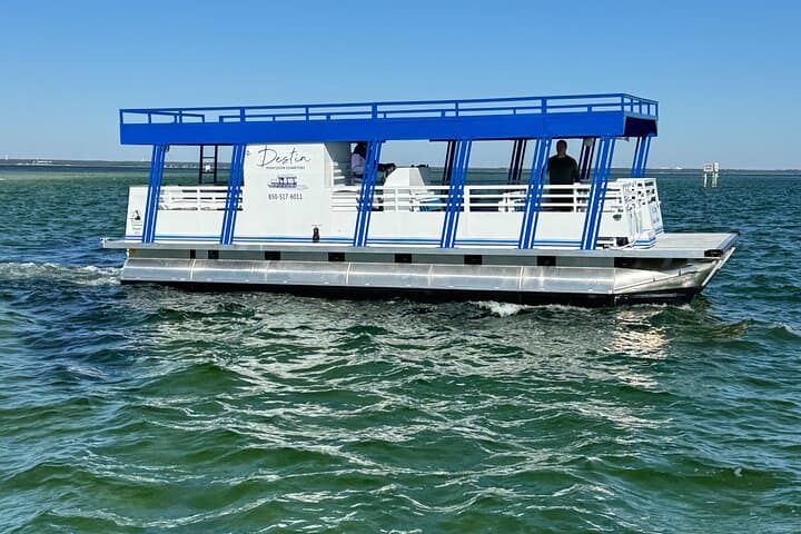 Crab Island 3-Hour Eco Tour from Destin — Paddleboards, Snorkel & Dolphins photo 4
