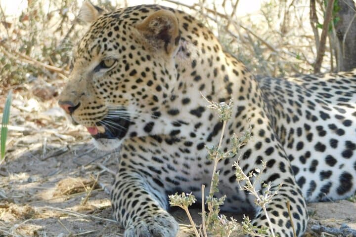 3-Day Budget Safari in Tanzania: Tarangire, Lake Manyara & Ngorongoro Crater photo 2