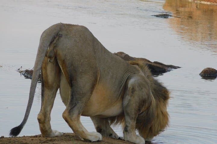 3-Day Budget Safari in Tanzania: Tarangire, Lake Manyara & Ngorongoro Crater photo 3