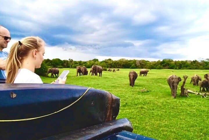 Kaudulla Safari Adventure: Witness Sri Lanka's Epic Elephant Gatherings photo 1