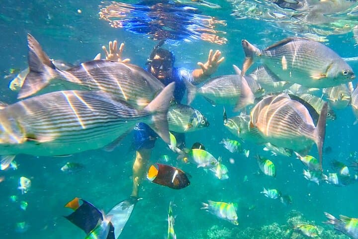 Los Arcos Snorkel, Cliff Jumps & Hidden Beach — Puerto Vallarta Boat Trip