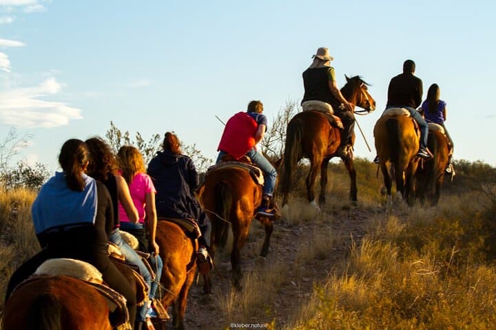 Mendoza Sunset Horseback Ride & Creole Asado in Lunlunta photo 4
