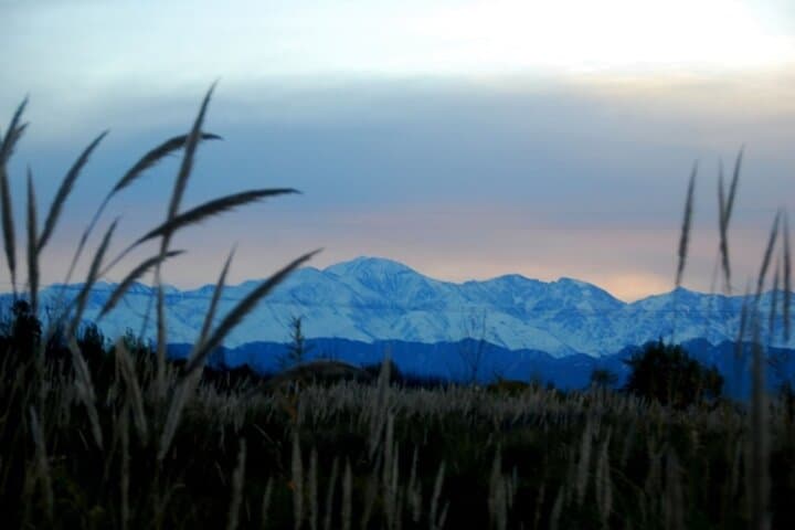 Mendoza Sunset Horseback Ride & Creole Asado in Lunlunta photo 5