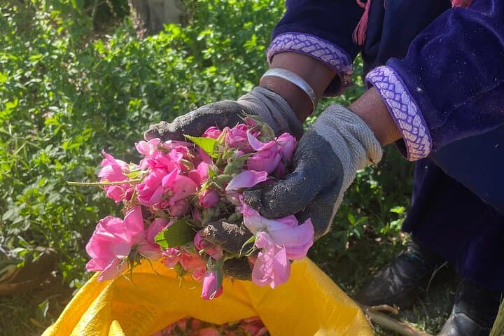 Kelaat M'Gouna Rose & Dadès Valleys Walking Tour — Cultural Hike in Morocco photo 4
