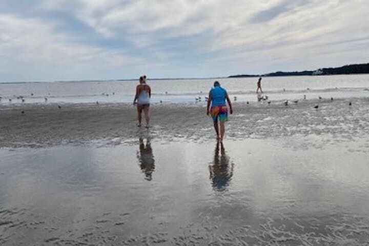Private Disappearing Island Dolphin Tour — Hilton Head Sandbar Dolphin Encounter photo 2