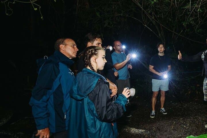 Night Walk in Nosara Biological Reserve: Mangrove Nocturnal Wildlife Tour