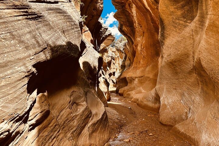Private Guided Hike: Wire Pass & Buckskin Gulch Slot Canyon