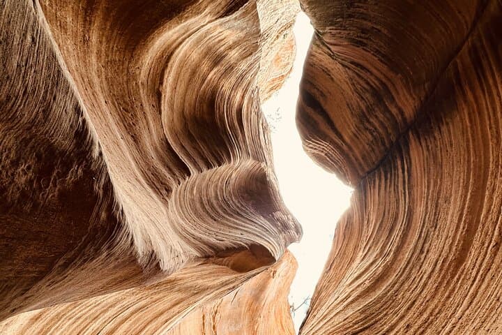 Private Guided Hike: Wire Pass & Buckskin Gulch Slot Canyon photo 2