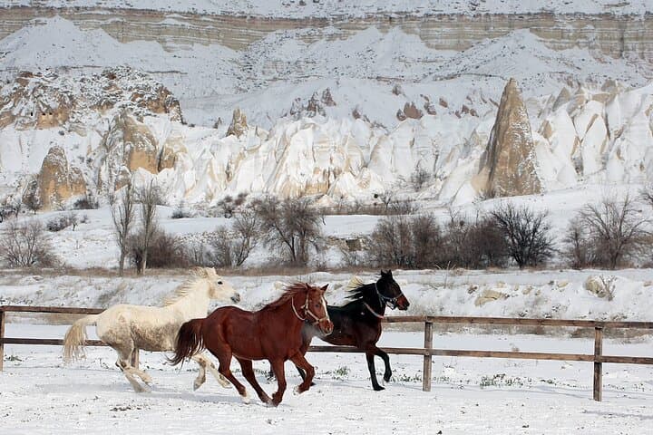 Cappadocia Fairy Chimneys Horseback Riding: Sunset & Hourly Tours from Göreme photo 6