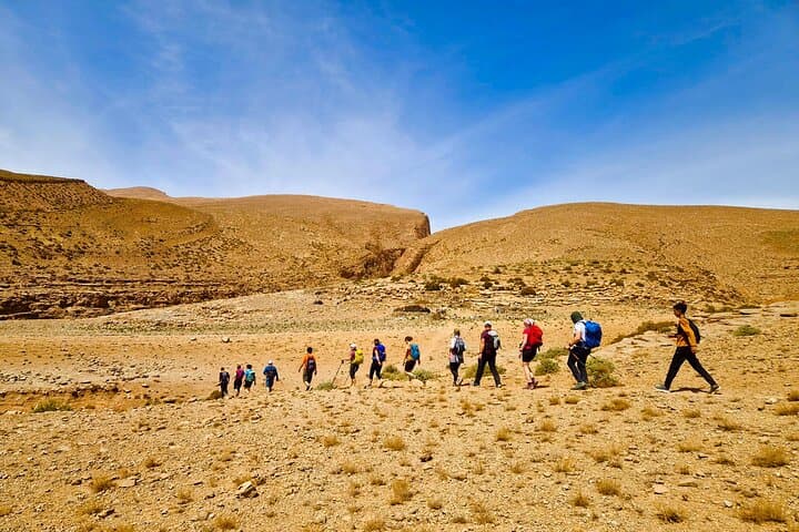 Hike Todgha Gorge with Berber Guides: Day Treks from Tinghir photo 3